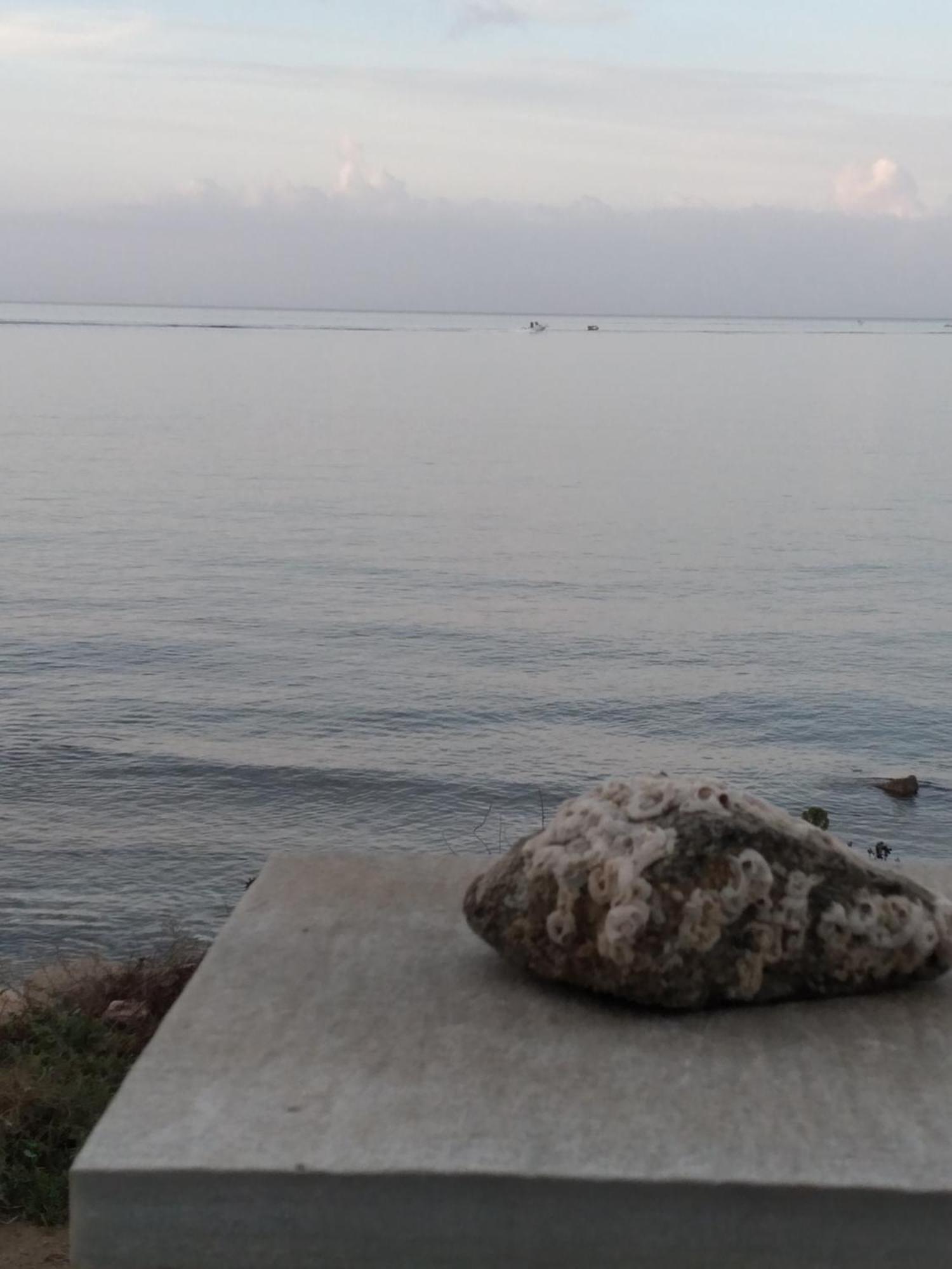 Albatross Seafront House Διαμέρισμα Naxos City Εξωτερικό φωτογραφία